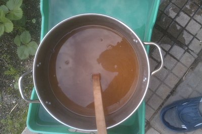 IMAG0084.jpg
