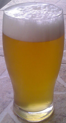 american-pale-ale-us05.jpg